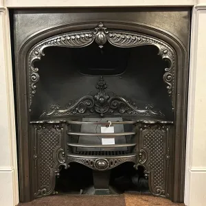 Polished Cast Iron Insert_edited